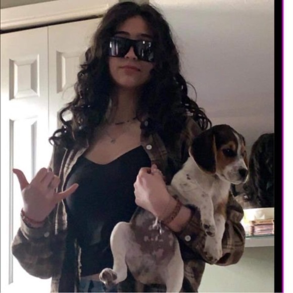 Meet your Posher, Lyliane - Picture 1 of 1